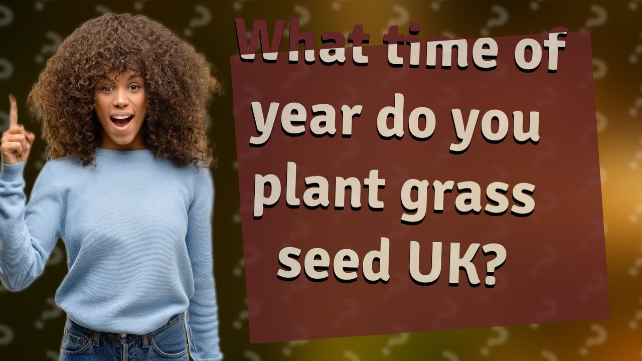 The Essential Guide to Timing Your Grass Seed Planting in the UK